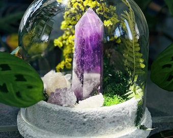 Amethyst Crystal Garden Under Glass Cloche with Dried Moss