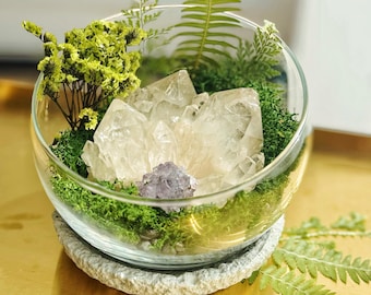 Clear Quartz Crystal Garden Bowl with Amethyst and Dried Moss