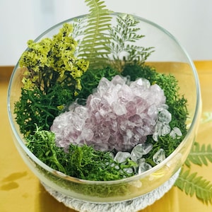 Può includere: Un terrario di vetro trasparente riempito con un gruppo di cristalli di ametista, muschio verde, piccole pietre trasparenti e fiori gialli secchi. Le fronde di felce aggiungono un tocco naturale. Il terrario poggia su un sottobicchiere bianco.