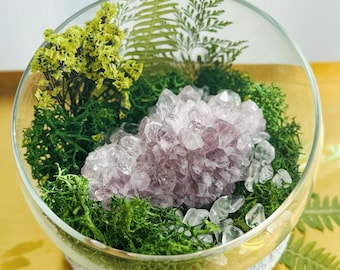 Amethyst Crystal Garden Bowl with Clear Quartz and Dried Moss