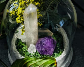 Clear Quartz and Amethyst Crystal Garden Under Glass Cloche