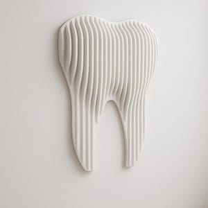 Puede incluir: Una obra de arte mural tridimensional blanca con forma de molar. El diente está construido con lamas verticales onduladas, creando una superficie texturizada. La obra de arte está montada en una pared blanca lisa.