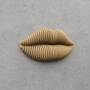 Puede incluir: Una escultura de pared con forma de labios, construida con numerosas láminas de madera delgadas de color marrón claro orientadas verticalmente, que crean una textura acanalada en capas y una forma tridimensional con una línea central horizontal.