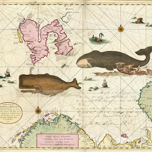 Chasse à la baleine, carte marine, illustrations maritimes