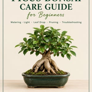Op de afbeelding: Een Ficus Bonsai verzorgingsgids voor beginners met een groene boom met een dikke stam in een donkergroene keramische pot. De tekst luidt: Ficus Bonsai Care Guide for Beginners, Watering, Light, Leaf Drop, Pruning, Troubleshooting en Noumeacraft.