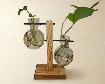 Glass Vase with Wooden Stand - Ideal for Hydroponic Plants | Home and Office Decoration