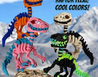 3D Skeleton Raptor - Ready To Go Color Options!