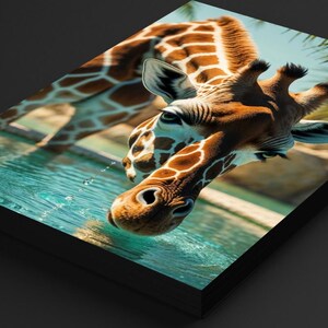 Puede incluir: Primer plano de una jirafa bebiendo agua. La jirafa tiene un pelaje con manchas marrones y blancas, un cuello largo y una cabeza pequeña. El agua es azul claro y el fondo está borroso. Impresión de imagen.