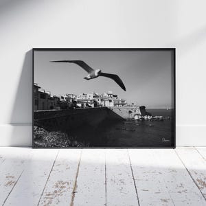 Antibes poster seagull in flight – Black and white photo of the French Riviera – Mediterranean sea wall decoration poster – Fujifilm print – France