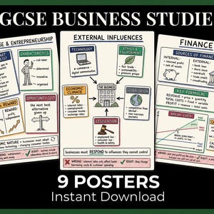 May include: Three educational posters for GCSE Business Studies featuring hand-drawn illustrations and text. Topics include Enterprise and Entrepreneurship, External Influences, and Finance, with diagrams, key formulae, and business concepts.