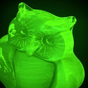 May include: A vibrant green glass owl ornament. The owl is shown in a seated pose, with detailed feather and eye features. The ornament is lit against a dark backdrop, emphasising its translucent qualities and intricate design.