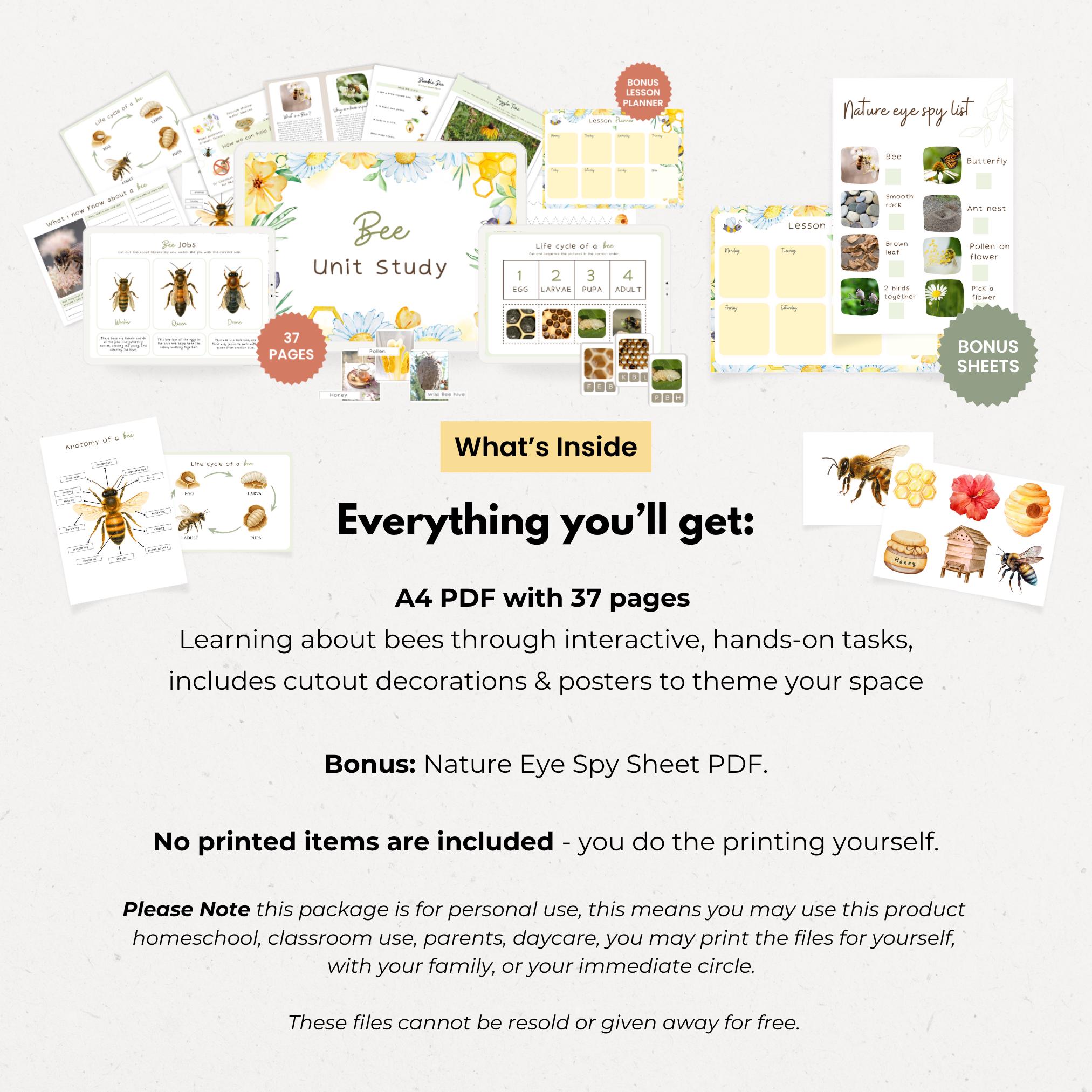 Easy Bees Notes.pdf Bee Early Learning Bundle, Printable Worksheets Clip Cards Crafts ...