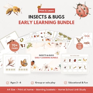Insects & Bugs Early Learning Bundle, Printable Worksheets Flashcards Crafts, Preschool Homeschool, Spring Theme Morning Basket PDF