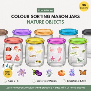 May include: An educational print and learn activity featuring color sorting mason jars with nature objects. The jars have colorful lids and contain illustrations of various items like a ladybug, apple, and seashell. Includes bonus flash cards and is designed for ages 2-5.