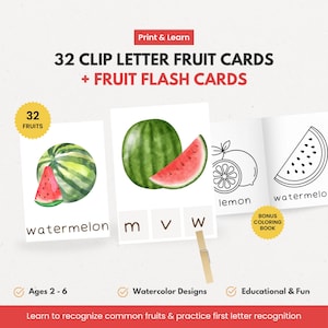 Fruit Flashcards Early Learning, Printable Clip Card, Fruits Vocabulary, Preschool Homeschool, food lifecycle Coloring Theme Morning Basket