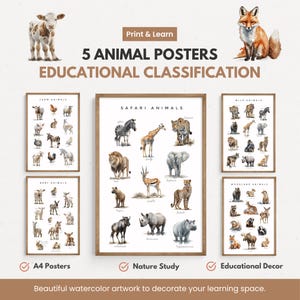 5 Animal Classification Posters for Kids, Montessori Educational Prints, Farm Safari Woodland Baby Wild Animals, Homeschool Nature Study PDF