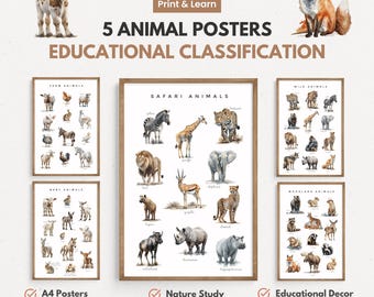 5 Animal Classification Posters for Kids, Montessori Educational Prints, Farm Safari Woodland Baby Wild Animals, Homeschool Nature Study PDF