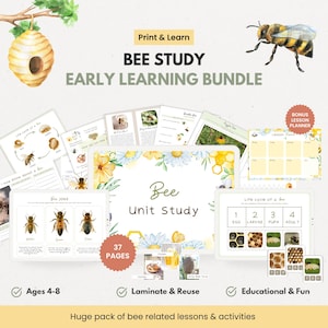 Bee Early Learning Bundle, Printable Worksheets clip cards Crafts, Preschool Homeschool, bees study Insect Theme Morning Basket activity PDF
