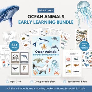 Paquete de aprendizaje temprano de animales del océano, hojas de trabajo imprimibles, tarjetas didácticas, manualidades, educación preescolar en casa, canasta matutina con temática submarina (PDF)