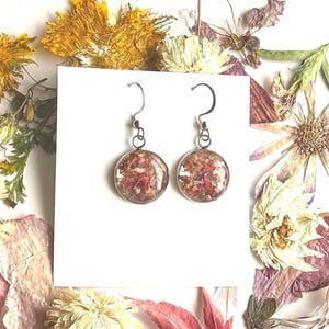 Pressed Flower Earrings: Real Confetti Flower, Stainless Steel, Handmade