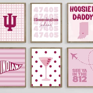 May include: Six framed prints with pink and white designs. The prints feature text and graphics, including the word "Hoosier Daddy", the Indiana state outline, and the text "See Ya in the 812".