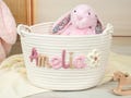 Custom Toy Basket,Baby Shower Gifts, Kids Gifts,Nursery Decor, Gifts for Baby,Custom Name Basket,Kid Toy Basket,Baby Name Gift,Home Storage