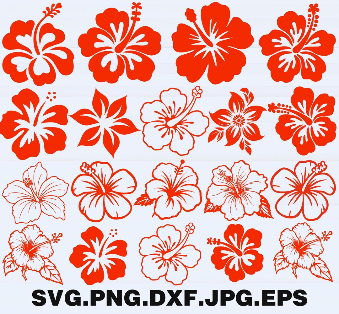 Hibiscus Flowers SVG Bundle | Tropical Floral Clipart | Summer Flower ...