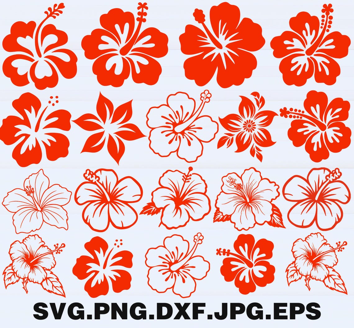 Hibiscus Flower SVG Bundle: Tropical Floral Clipart (digital Download ...