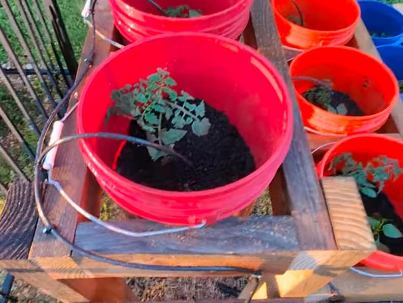 View of A 2-kilowatt wind turbine stands firmly in the highland farm ...