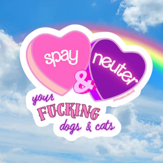 Spay & Neuter Your Fucking Dogs and Cats Sticker - Rescue Advocate Sticker - Shelter Volunteer