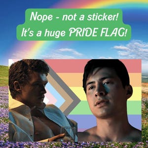 Shane & Ilya Fan Art Pride Flag – Heated Rivalry LGBTQ+ Merch