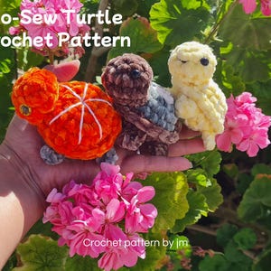 Bundel 3 in 1: gehaakt fruitschildpadpatroon amigurumipatroon zonder naaien