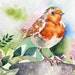 see more listings in the Watercolor Birds section