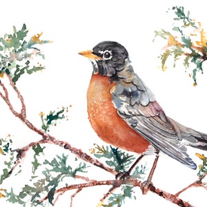 Watercolor bird print, robin artwork, Robin Print, Robin Wall Art, Bedroom Bird Print, Watercolor Robin Painting, Bedroom Décor Teens image 1