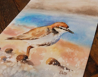 Beach Bird Painting,  Original Bird Watercolor, Coastal Nursery Décor, Plover Painting, Beach Nursery Art, Summer Wall Art