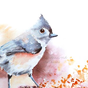 Watercolor birds, Titmouse Watercolor, Bird Art Print, Tufted Titmouse, Autumn Wall Art,  Bird wall art, Bird Décor