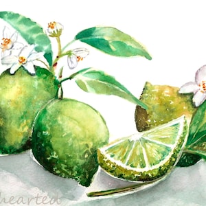 Lime Print, Watercolor fruit, Fruit Painting, Green Kitchen Wall Art,  Kitchen Décor, Summer Wall Art, Kitchen watercolor, Summer Décor