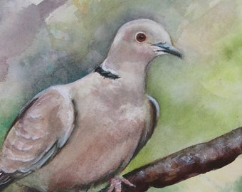 Original Dove Painting,  Watercolor Bird, Bird Wall Art, Mourning Dove Painting, Woodland Decor, Watercolor Dove