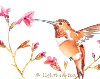 Summer Décor, Hummingbird Print, Baby Girl Nursery, hummingbird wall art, Summer Wall Art,  Watercolor Bird, pink flowers, nursery wall art
