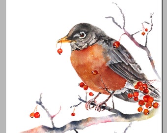 Watercolor bird print, robin watercolor, Robin Print, Winter wall art, Robin Wall Art, Winter Décor, Watercolor Robin Painting