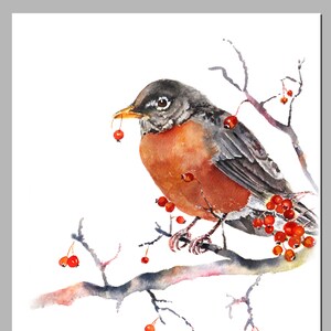 Watercolor bird print, robin watercolor, Robin Print, Winter wall art, Robin Wall Art, Winter Décor, Watercolor Robin Painting