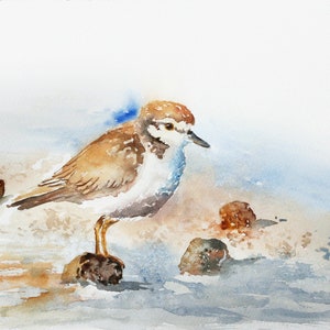 Plover Print, Coastal Wall Art, Beach Bird Watercolor, Beach Nursery Art, Watercolor Bird Print, Plover Painting, Coastal Decor