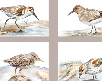 Coastal Bathroom Decor, Beach House Decor,  Beach House Prints, Beach Bird Print Set, summer decor, Coastal Wall Art, sandpiper paintings