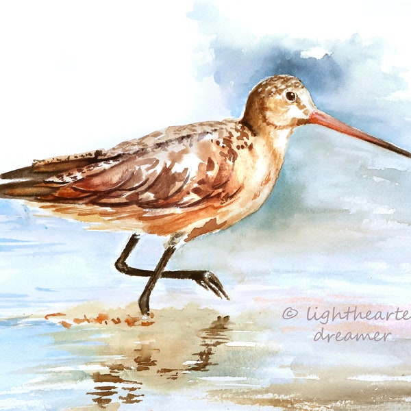 Beach Bird Print, Seaside Watercolor, watercolor bird, Summer Wall Art,  Coastal Artwork, Beach House Print, Coastal print, Coastal Décor