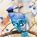 see more listings in the Watercolor Birds section