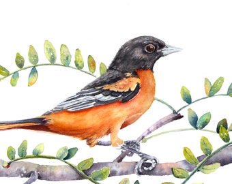 Watercolor bird print, Oriole Painting, Girl's wall art, Bird Wall Art, Woodland Decor, Watercolor Bird Painting