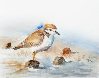 Plover Print, Coastal Wall Art, Beach Bird Watercolor, Beach Nursery Art, Watercolor Bird Print, Plover Painting, Coastal Decor