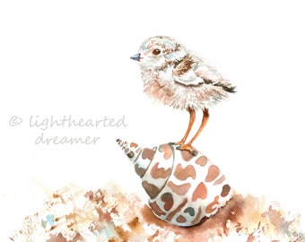 Beach Bird Print, watercolor plover, Coastal Wall Art, Beach House Print, Beach Nursery Art, Piping Plover Print, Coastal print