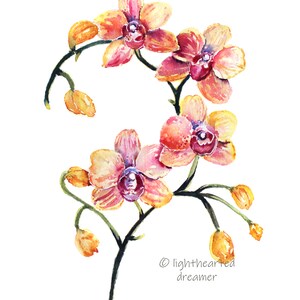 May include: Watercolor painting of a branch of pink and yellow orchids with green stems and leaves. The flowers are in various stages of bloom, with some buds still closed. The painting is signed "lighthearted dreamer" in the bottom right corner.