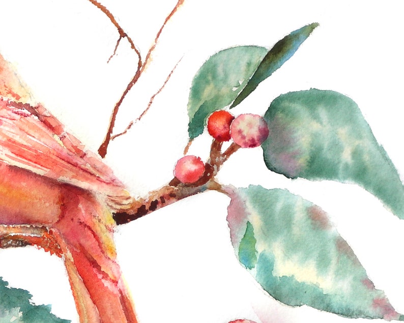 May include: Watercolor painting of a red cardinal perched on a branch with green leaves and red berries. The bird's feathers are painted in shades of red, orange, and yellow.